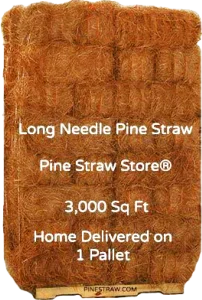 Pine Straw Mulch - Best Pine Straws Review and Pine Straw Calculator