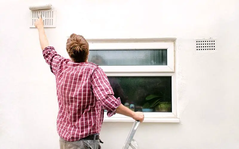 Best Exterior Paint to Prevent Mold – How to Kill Mold